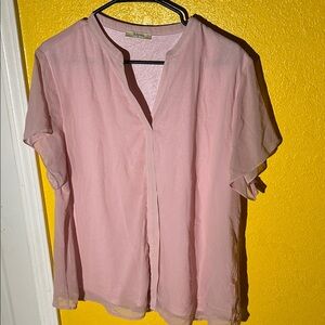 Elegant Light Pink Sheer Blouse